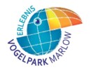 Vogelpark-Marlow-Logo-1