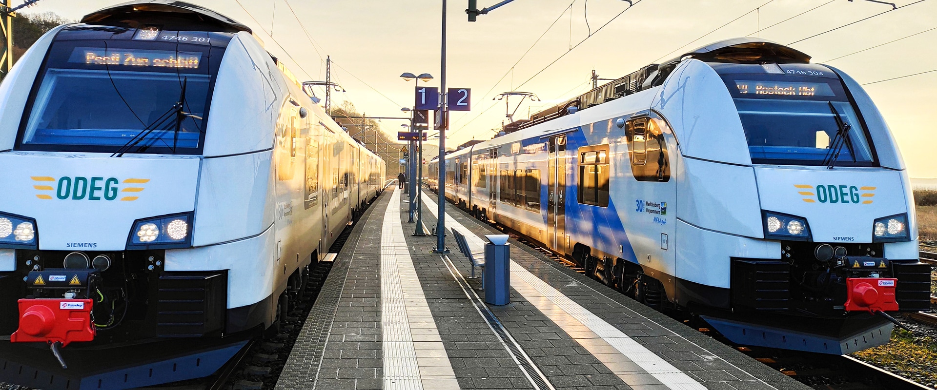 Die VMV - VMV-Verkehrsgesellschaft Mecklenburg-Vorpommern